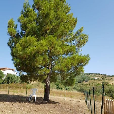 Villetta Nel Verde Ascea Dış mekan fotoğraf