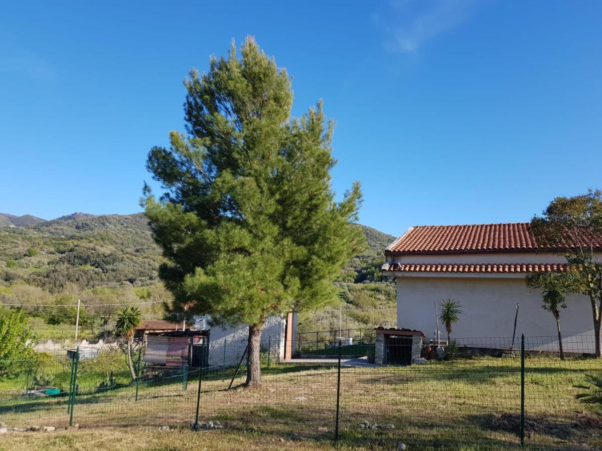 Villetta Nel Verde Ascea Dış mekan fotoğraf