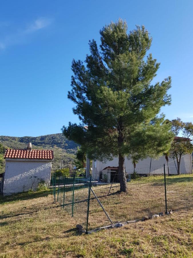 Villetta Nel Verde Ascea Dış mekan fotoğraf