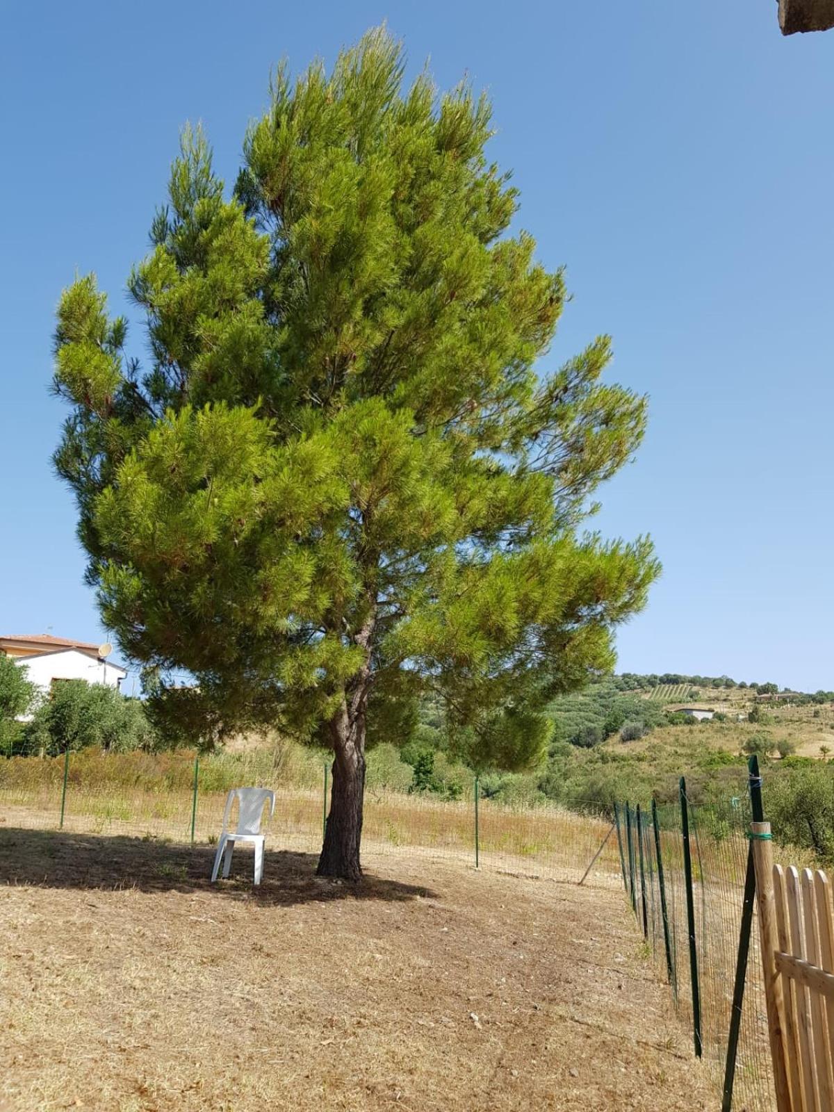 Villetta Nel Verde Ascea Dış mekan fotoğraf